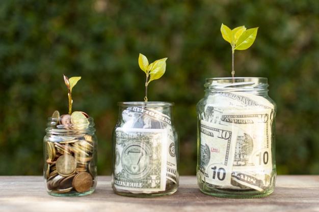 A relação entre Dinheiro e Energia representada pela imagem de plantas crescendo em potes de dinheiro